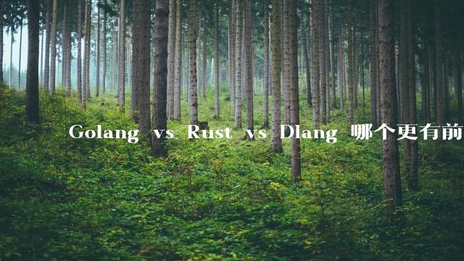 Golang vs Rust vs Dlang 哪个更有前途，哪位大牛这 3 门语言都用过？