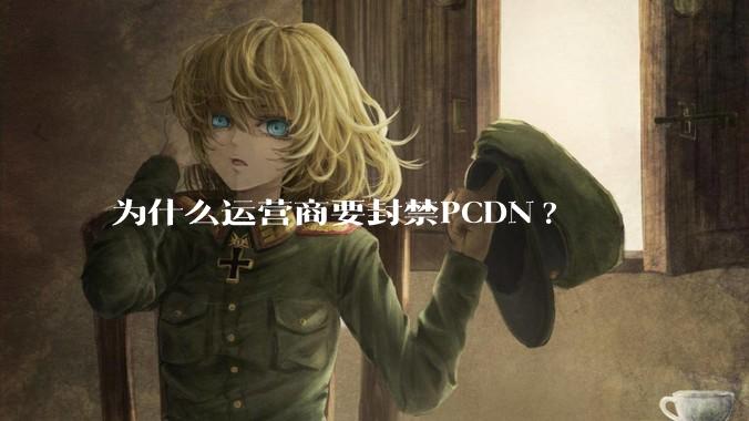 为什么运营商要封禁PCDN?