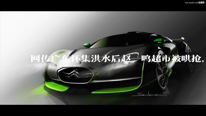 网传广东怀集洪水后赵一鸣超市被哄抢，县***回应相关单位正在核实，若属实哄抢者该承担哪些法律责任？
